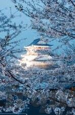 2019年泡伦理-2019年，泡伦理的微妙平衡