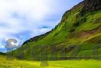 91偷拍视频麻豆-光影背后的暗流，探究网络对成人内容平台的一瞥