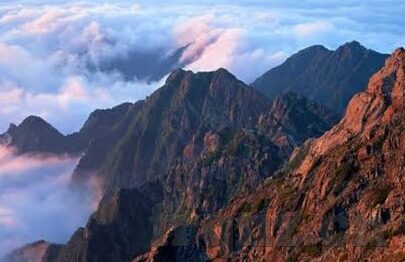 91制片厂果冻传媒免费-91制片厂与果冻传媒，免费内容背后的思考