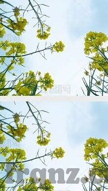 大象视频一二三四区乱吗-探索大象视频的多元化内容布局