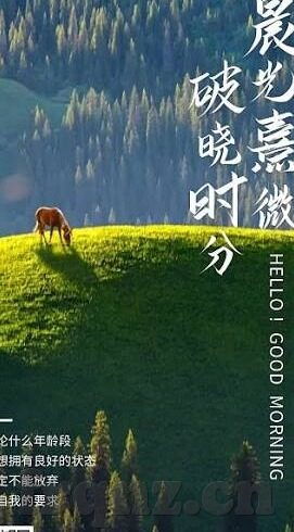 japanese 人妻av-探索日本成人娱乐文化的多元视角