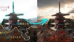 麻豆视频免费在线-揭开免费观影的秘密花园，探访麻豆视频的在线魅力