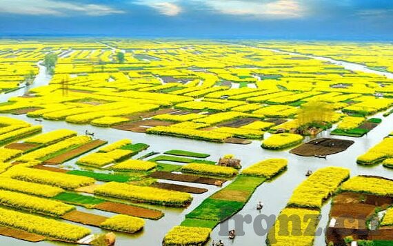 麻豆袁子仪在线视频-麻豆袁子仪，风靡网络的在线视频魅力展示