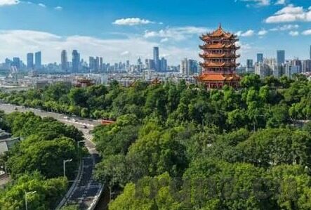 天天色成人视频-探索成人内容与网络安全的边界，理性视角下的网络文化