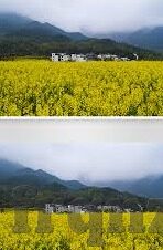 亚洲国产麻豆视频-多姿多彩的亚洲文化视角，揭秘国产麻豆视频的多元面貌